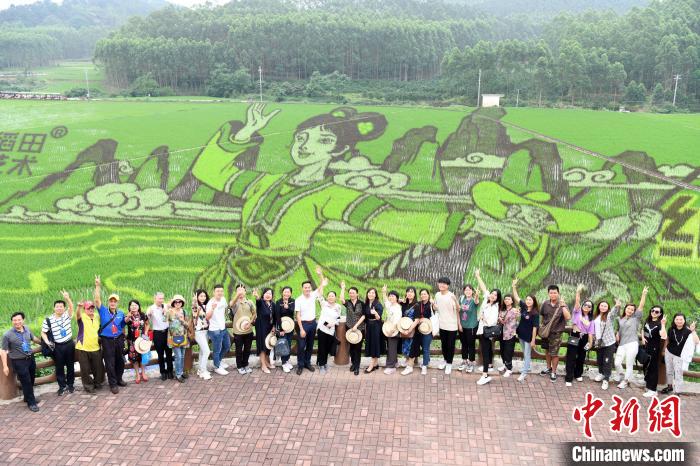 图为台湾同胞在广西稻田艺术景区合影留念。　蒋雪林 摄
